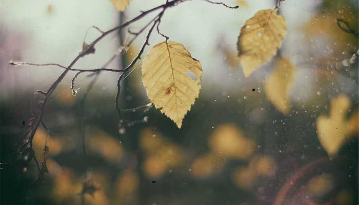 97视频最新更新专区